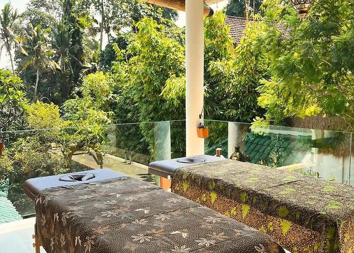 Luxury In Center W/ Natural Pool La Bohemia
